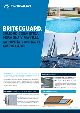 portada_britecGuard