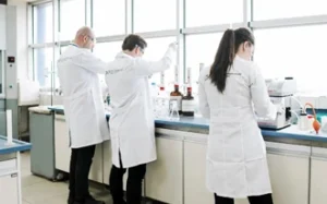 Liderazgo Global en Catalizadores